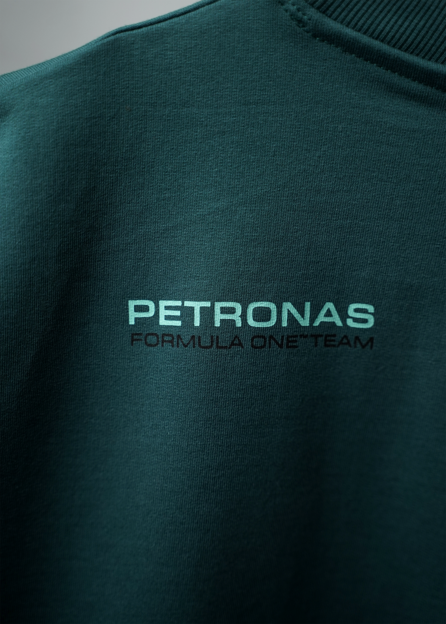 Gear 03 - Petronas F1